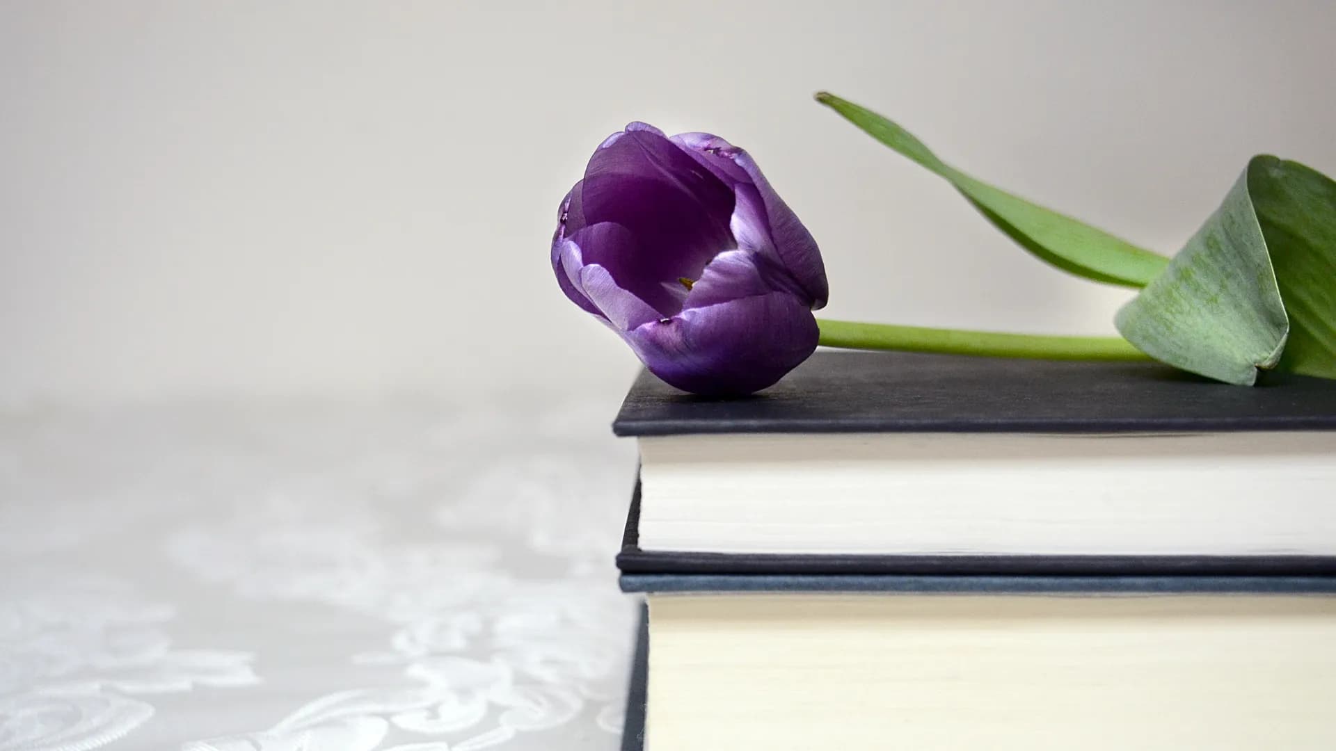 Blume liegt auf Buch